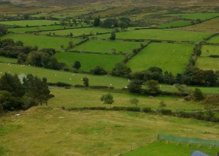 Gorse Hill Glamping